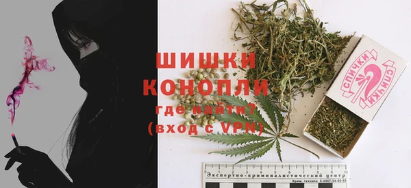 тгк Болотное