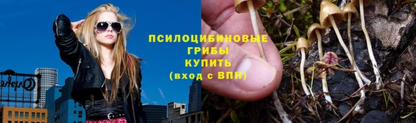 бошки Бутурлиновка