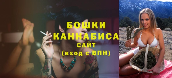 соль ск Дмитров