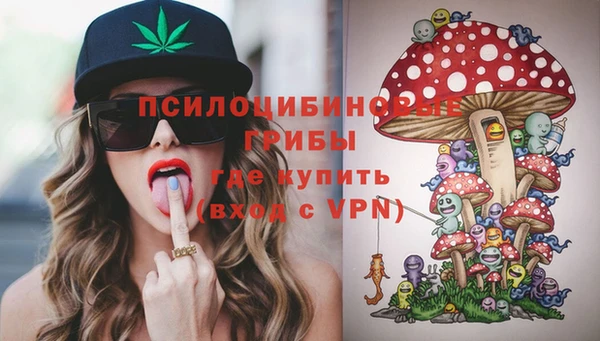первитин Дмитриев