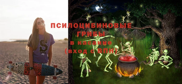 соль ск Дмитров