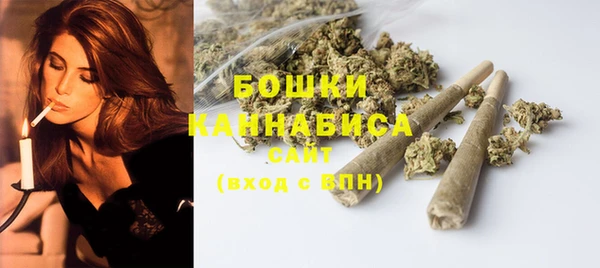 соль ск Дмитров